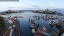 ./images/victoria/wharf/20250623/wharf20250623_054009M.jpg
