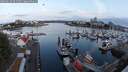 ./images/victoria/wharf/20250623/wharf20250623_054509M.jpg