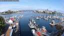 ./images/victoria/wharf/20250623/wharf20250623_092011M.jpg