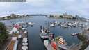 ./images/victoria/wharf/20250623/wharf20250623_110510M.jpg