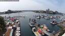 ./images/victoria/wharf/20250623/wharf20250623_145511M.jpg