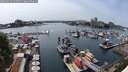 ./images/victoria/wharf/20250623/wharf20250623_150511M.jpg