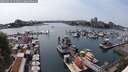 ./images/victoria/wharf/20250623/wharf20250623_154010M.jpg