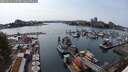 ./images/victoria/wharf/20250623/wharf20250623_160508M.jpg