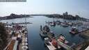 ./images/victoria/wharf/20250623/wharf20250623_165011M.jpg