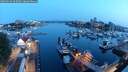 ./images/victoria/wharf/20250624/wharf20250624_045009M.jpg