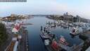 ./images/victoria/wharf/20250624/wharf20250624_051009M.jpg