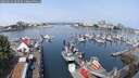 ./images/victoria/wharf/20250624/wharf20250624_103509M.jpg
