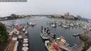 ./images/victoria/wharf/20250624/wharf20250624_121010M.jpg