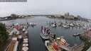 ./images/victoria/wharf/20250624/wharf20250624_122010M.jpg