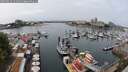 ./images/victoria/wharf/20250624/wharf20250624_131009M.jpg