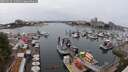 ./images/victoria/wharf/20250624/wharf20250624_134011M.jpg