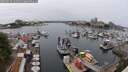 ./images/victoria/wharf/20250624/wharf20250624_134511M.jpg