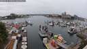 ./images/victoria/wharf/20250624/wharf20250624_135010M.jpg