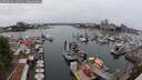 ./images/victoria/wharf/20250624/wharf20250624_135511M.jpg