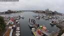 ./images/victoria/wharf/20250624/wharf20250624_140012M.jpg