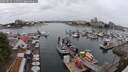 ./images/victoria/wharf/20250624/wharf20250624_141511M.jpg