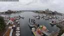 ./images/victoria/wharf/20250624/wharf20250624_142010M.jpg