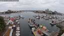 ./images/victoria/wharf/20250624/wharf20250624_143012M.jpg