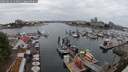 ./images/victoria/wharf/20250624/wharf20250624_144011M.jpg