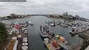 ./images/victoria/wharf/20250624/wharf20250624_144511M.jpg