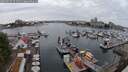./images/victoria/wharf/20250624/wharf20250624_151510M.jpg