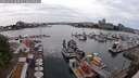 ./images/victoria/wharf/20250624/wharf20250624_160510M.jpg