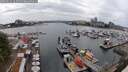 ./images/victoria/wharf/20250624/wharf20250624_162510M.jpg