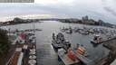 ./images/victoria/wharf/20250624/wharf20250624_183507M.jpg