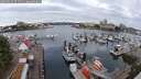 ./images/victoria/wharf/20250625/wharf20250625_072511M.jpg