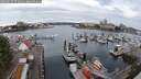 ./images/victoria/wharf/20250625/wharf20250625_073010M.jpg