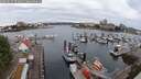 ./images/victoria/wharf/20250625/wharf20250625_074011M.jpg