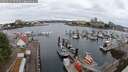 ./images/victoria/wharf/20250625/wharf20250625_074509M.jpg