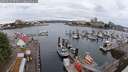 ./images/victoria/wharf/20250625/wharf20250625_075011M.jpg