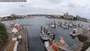 ./images/victoria/wharf/20250625/wharf20250625_080011M.jpg
