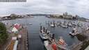 ./images/victoria/wharf/20250625/wharf20250625_080509M.jpg