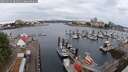 ./images/victoria/wharf/20250625/wharf20250625_081011M.jpg