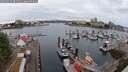 ./images/victoria/wharf/20250625/wharf20250625_081511M.jpg