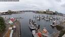 ./images/victoria/wharf/20250625/wharf20250625_082010M.jpg