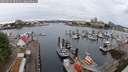 ./images/victoria/wharf/20250625/wharf20250625_082510M.jpg