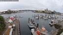 ./images/victoria/wharf/20250625/wharf20250625_083012M.jpg