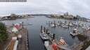 ./images/victoria/wharf/20250625/wharf20250625_083509M.jpg