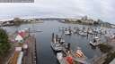 ./images/victoria/wharf/20250625/wharf20250625_084011M.jpg