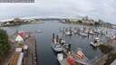 ./images/victoria/wharf/20250625/wharf20250625_084511M.jpg