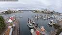 ./images/victoria/wharf/20250625/wharf20250625_085011M.jpg