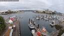 ./images/victoria/wharf/20250625/wharf20250625_085510M.jpg