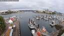 ./images/victoria/wharf/20250625/wharf20250625_090012M.jpg