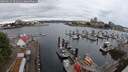 ./images/victoria/wharf/20250625/wharf20250625_091011M.jpg