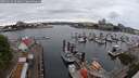 ./images/victoria/wharf/20250625/wharf20250625_092011M.jpg
