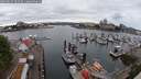 ./images/victoria/wharf/20250625/wharf20250625_092510M.jpg